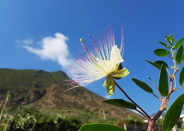 La Casa Dell 'arco Feriehus *
